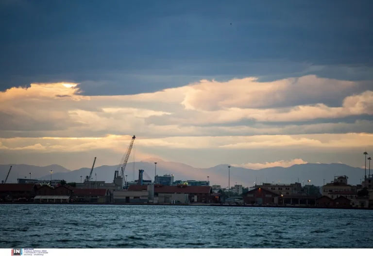 skg-sinefia1.webp.webp