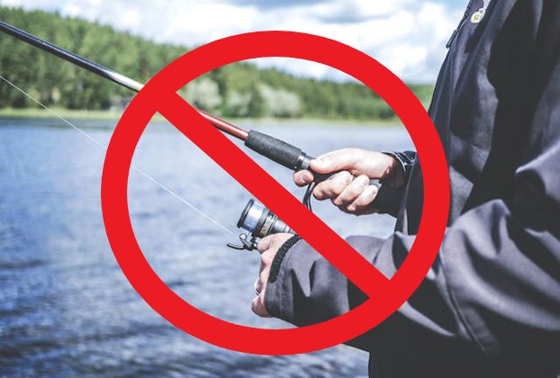 site-stop-fishing.jpg